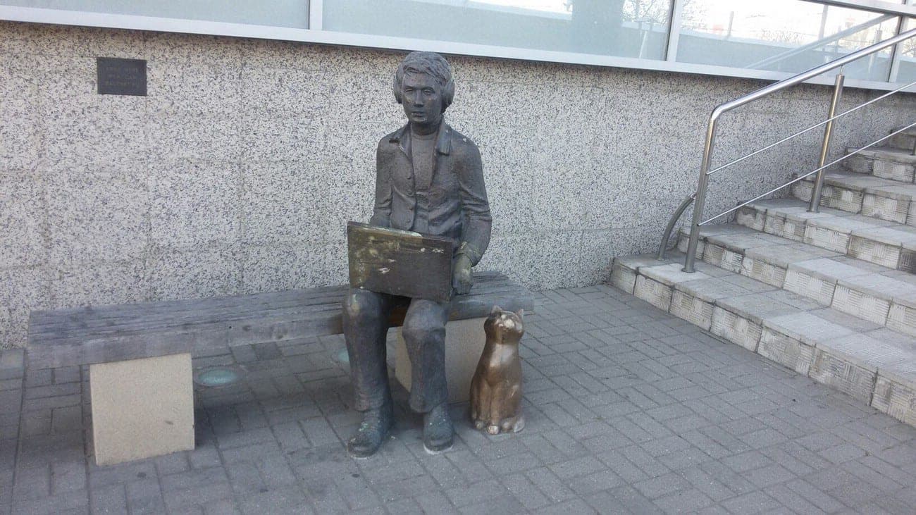 Мальчик с ноутбуком и кот