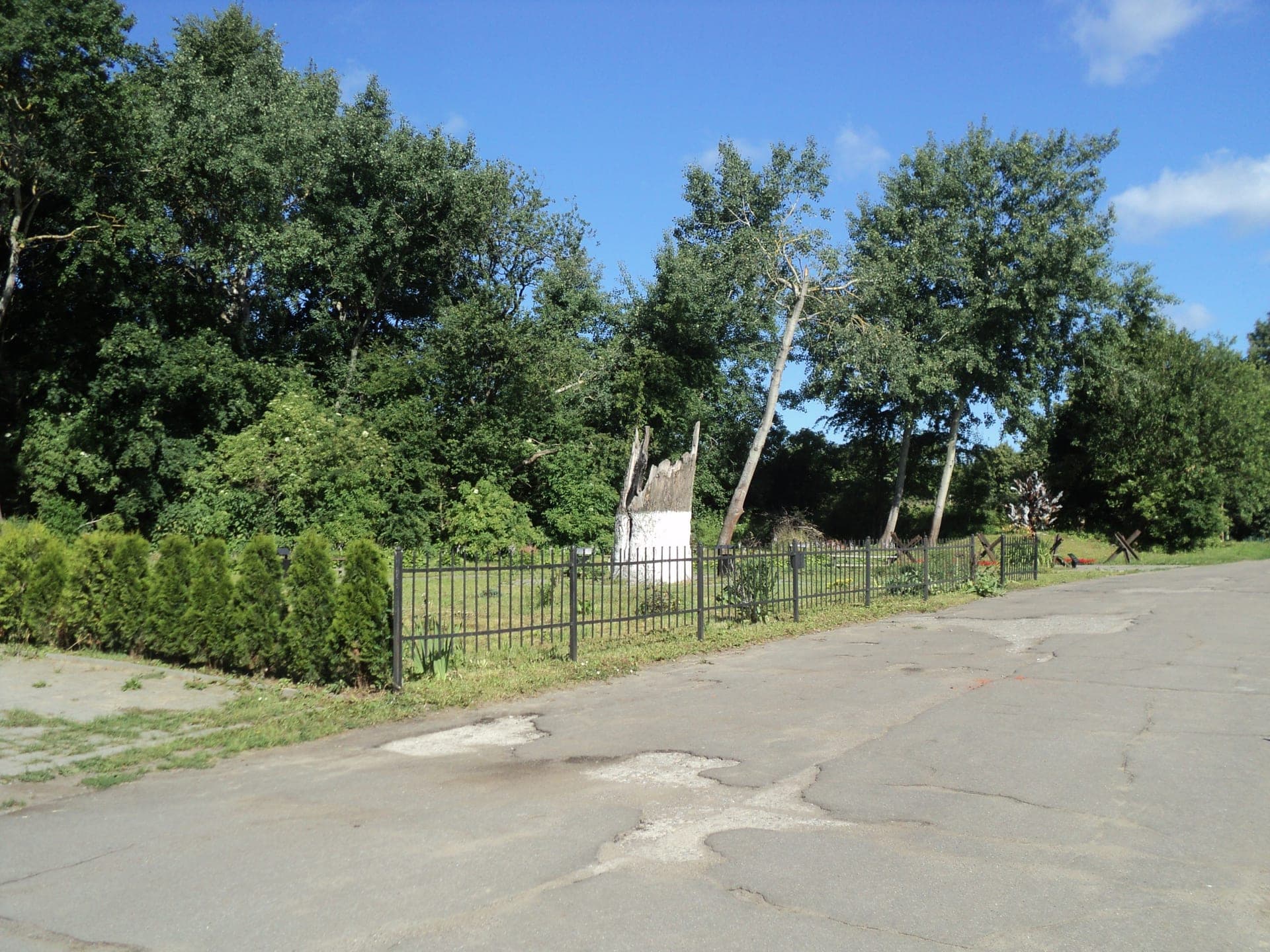 Дуб Мира