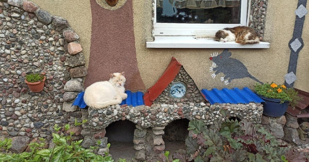Кошкин двор